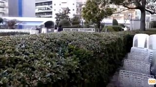 龙虎武师女同事的闺蜜才认识一星期